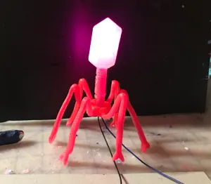 Phage model with light