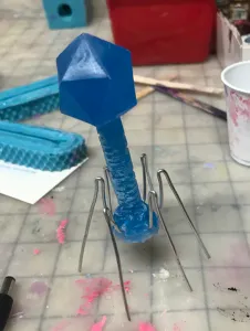 Wire-legged phages