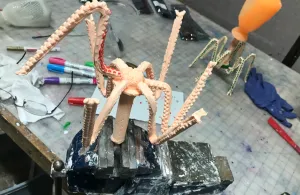 Model assembly