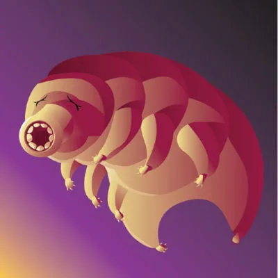 Tardigrades